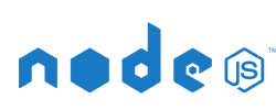 Node Js